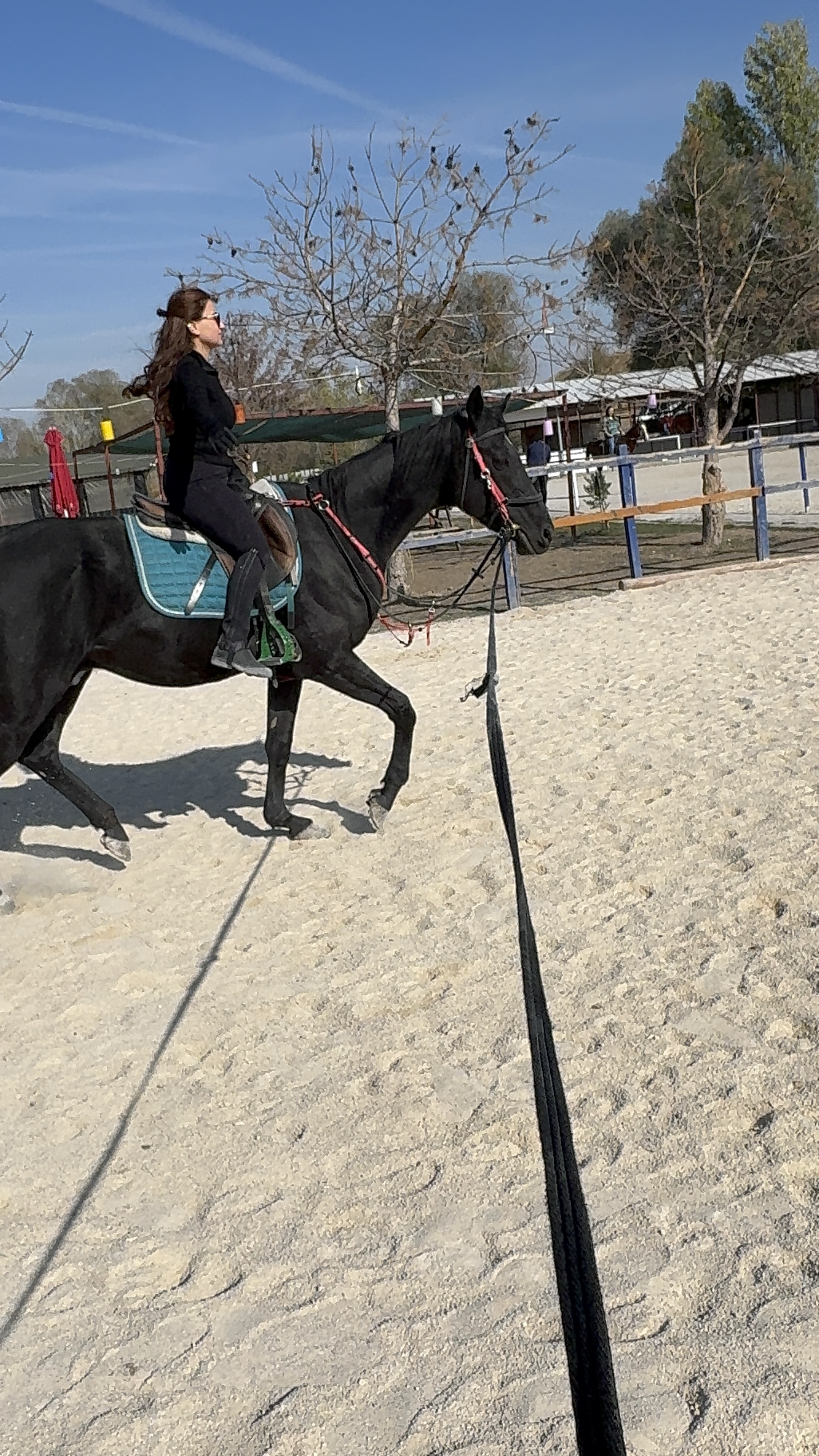 Temel Binicilik Eğitimi